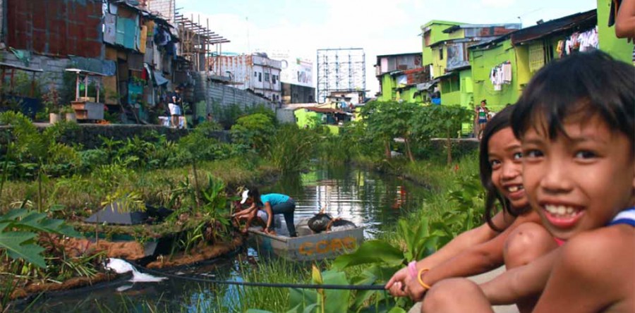 Sistema BIOMATRIX – como despoluir um rio gastando pouco