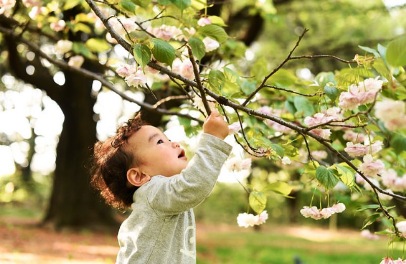 Cidadania e Ecologia
