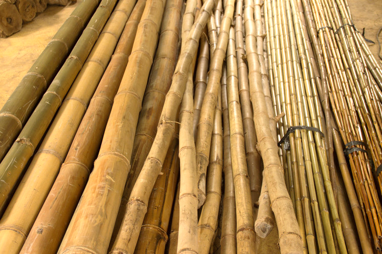 Bambu – material ideal p/ se construir