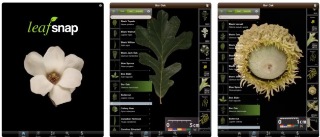 Aplicativo Plantas - Leafsnap